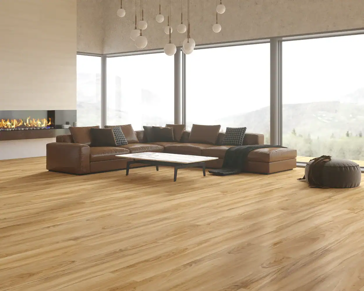 Coastal Blackbutt