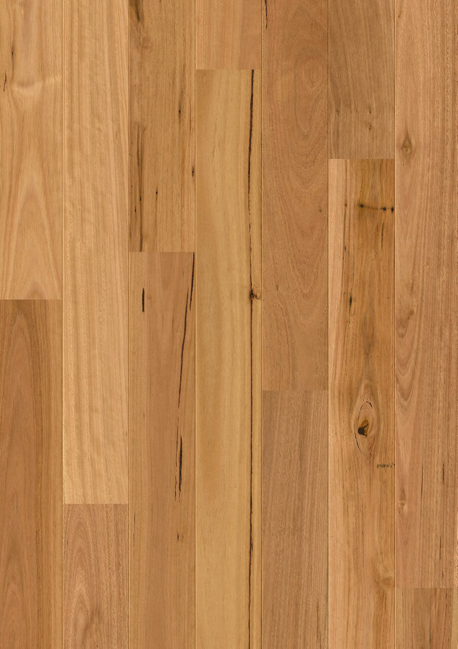 Blackbutt 1 Strip