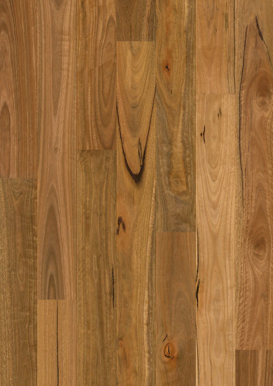 Spotted Gum 1 Strip
