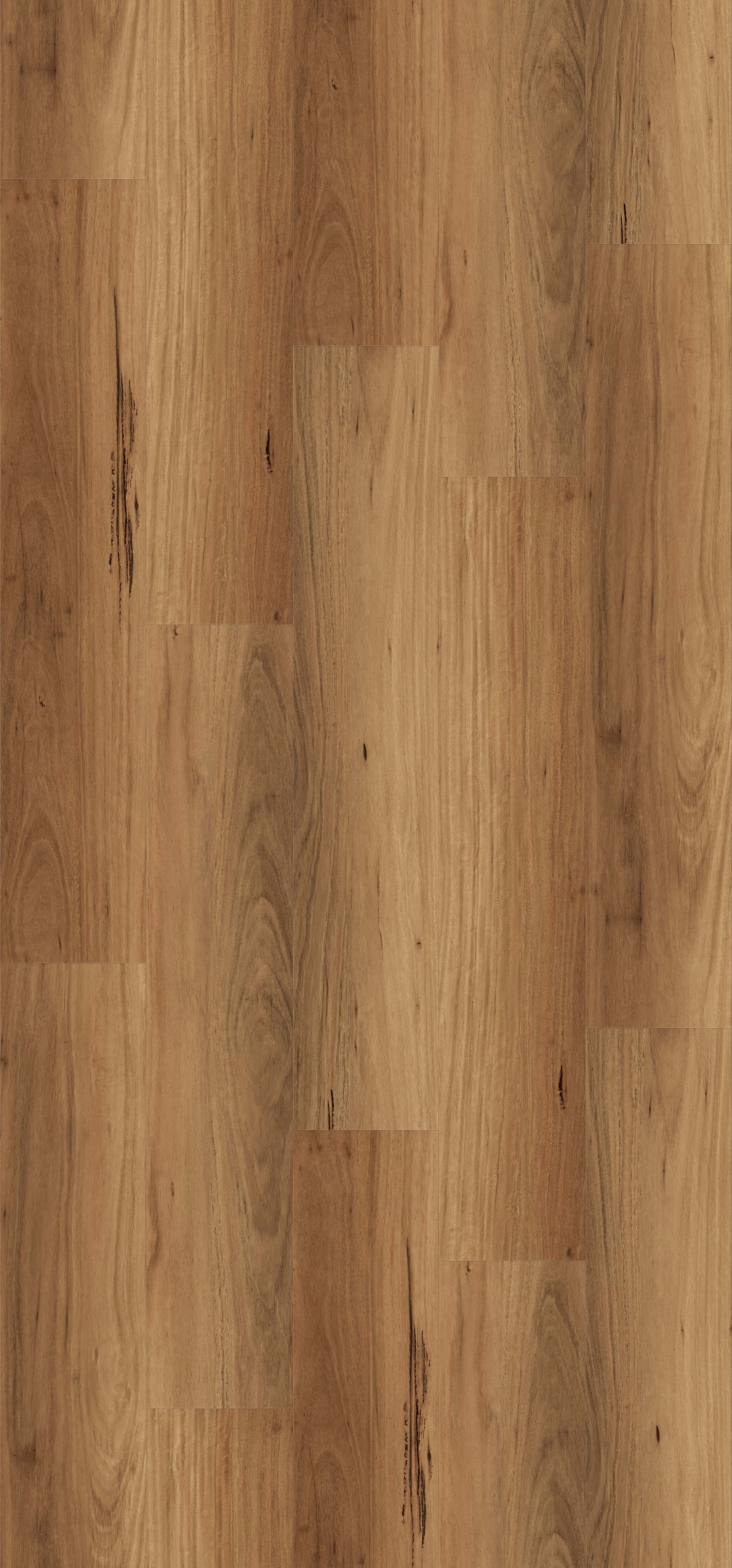Frontier Blackbutt