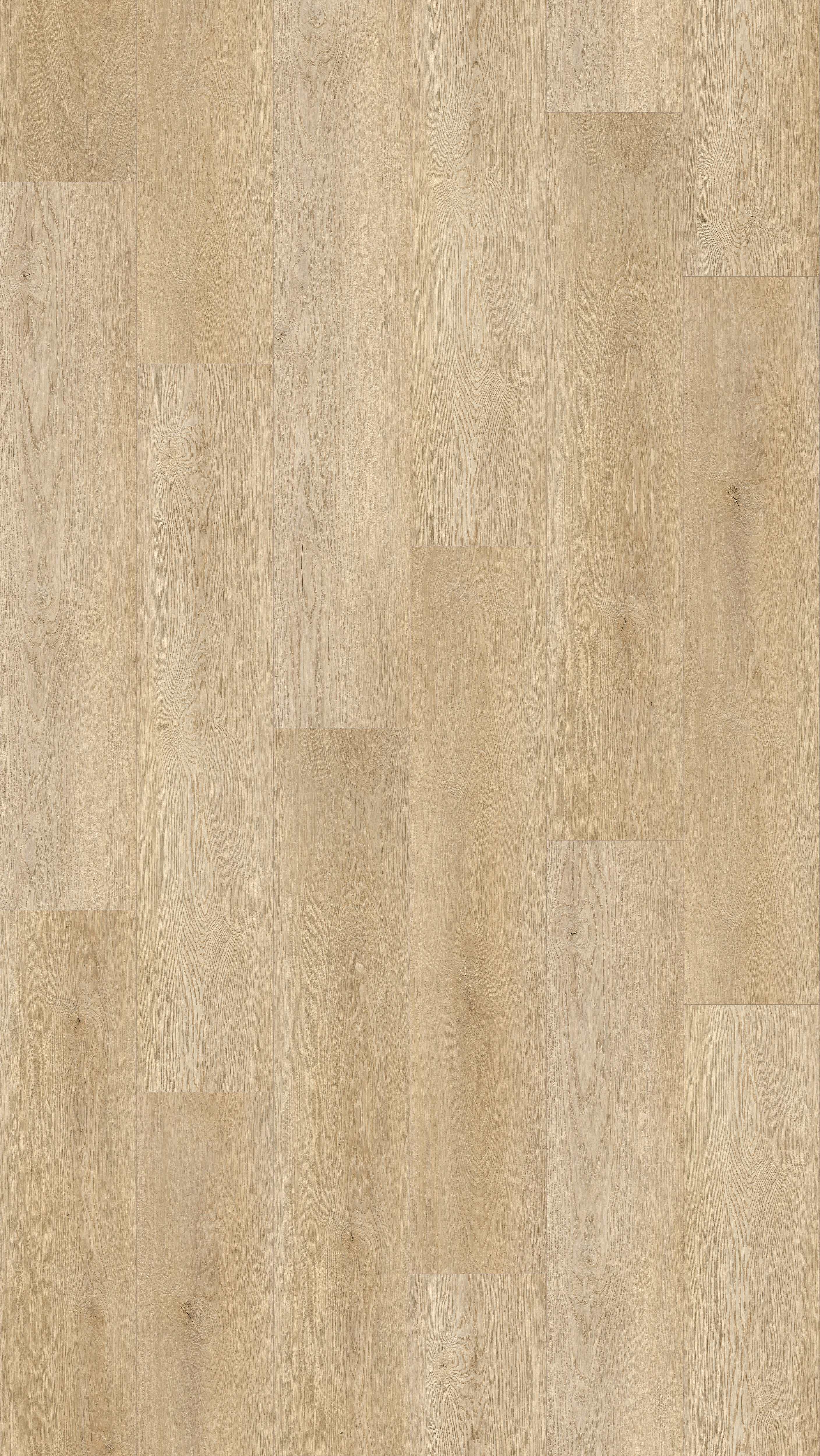 Isle Oak