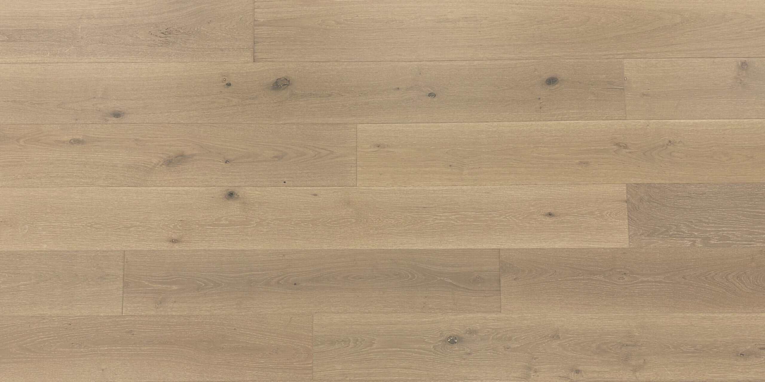Fawn Oak 805