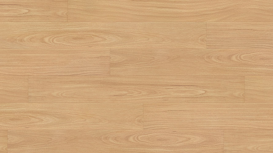 Crimson Ruby Blackbutt