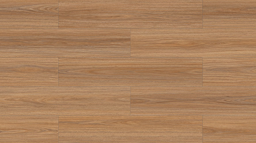 Vivid Spotted Gum
