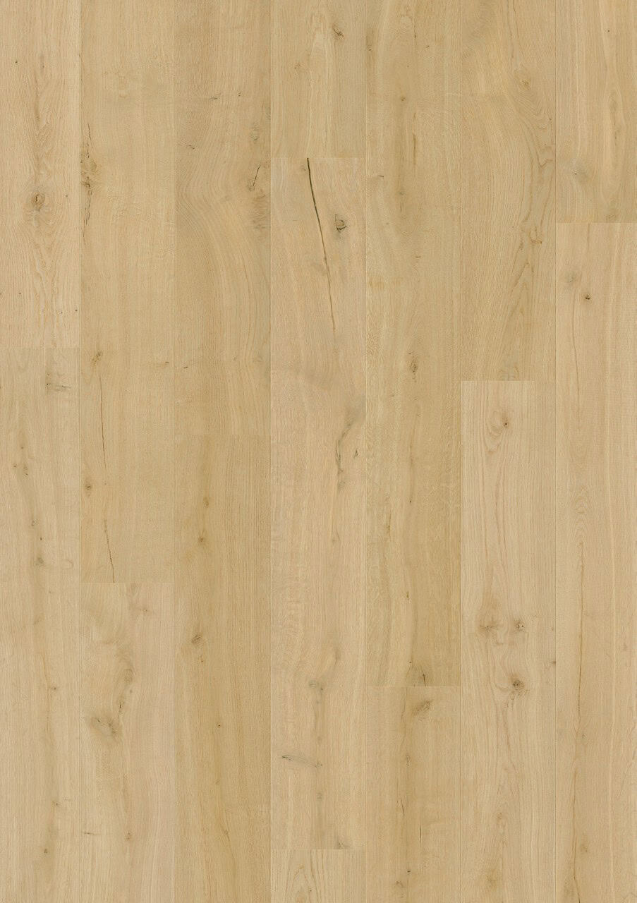 Cotton Oak