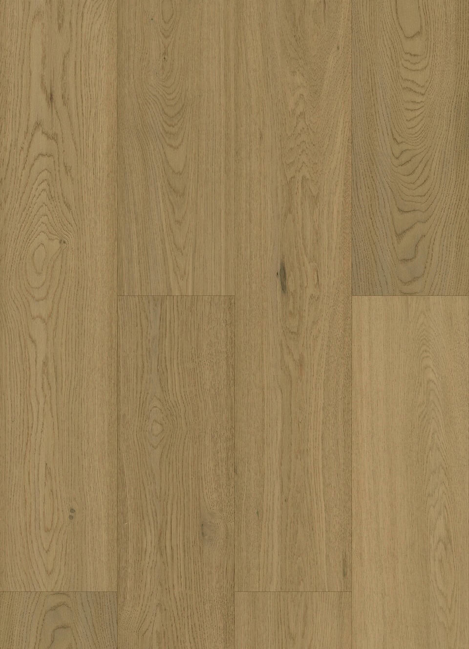 Classic Oak