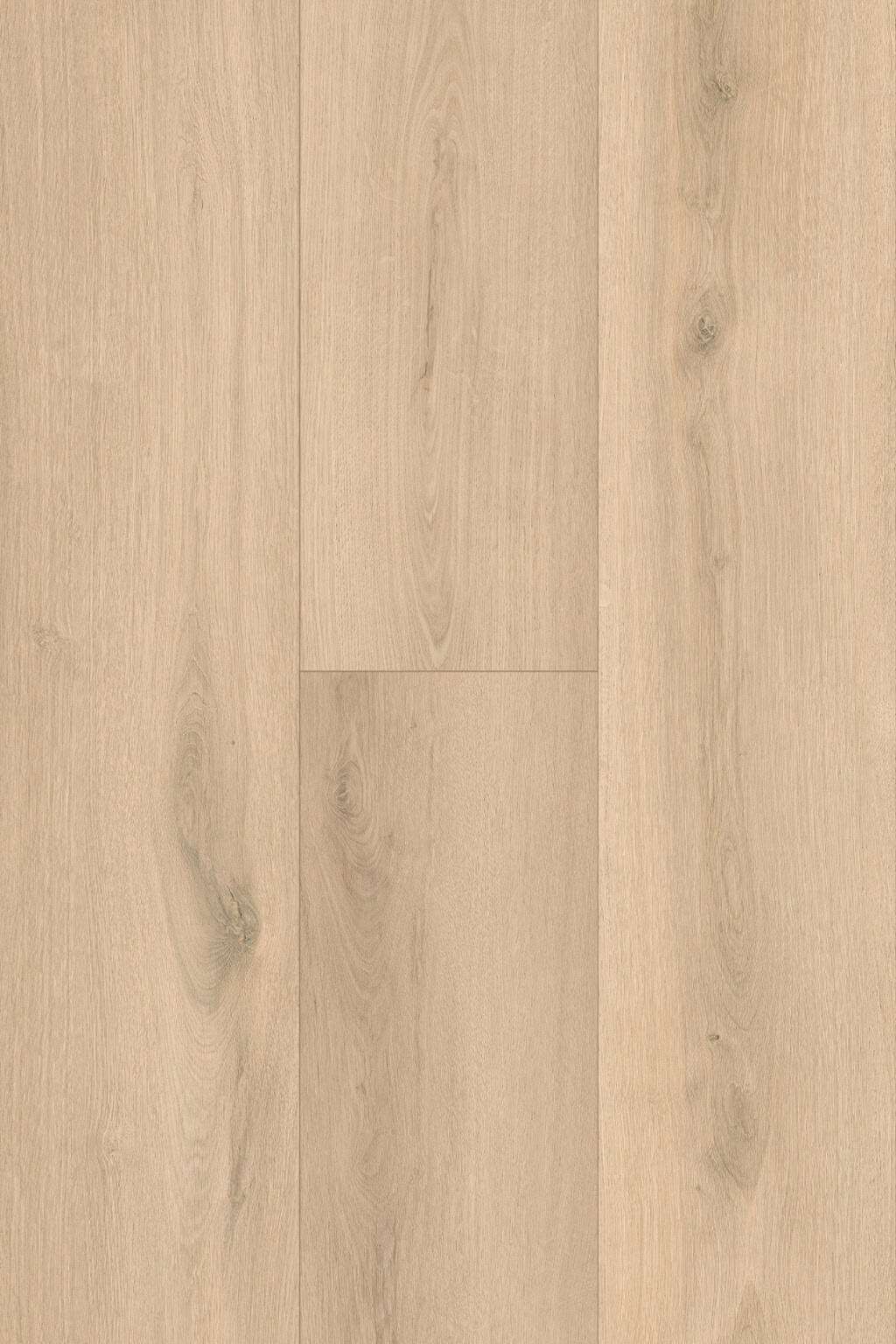 Ivory Sand Oak