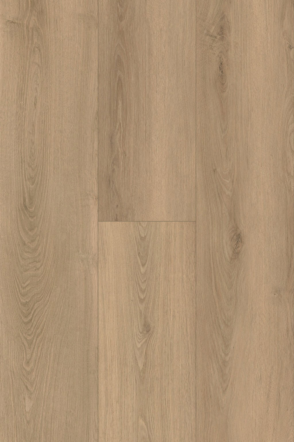 Moonstone Oak