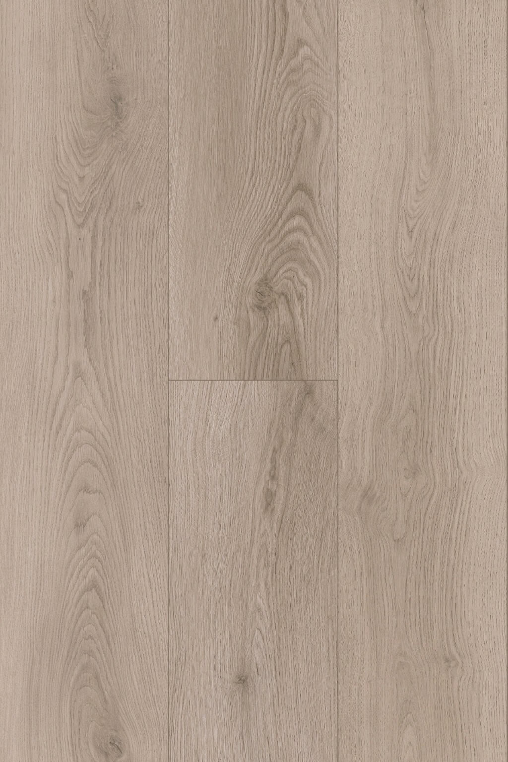 Silverstone Oak