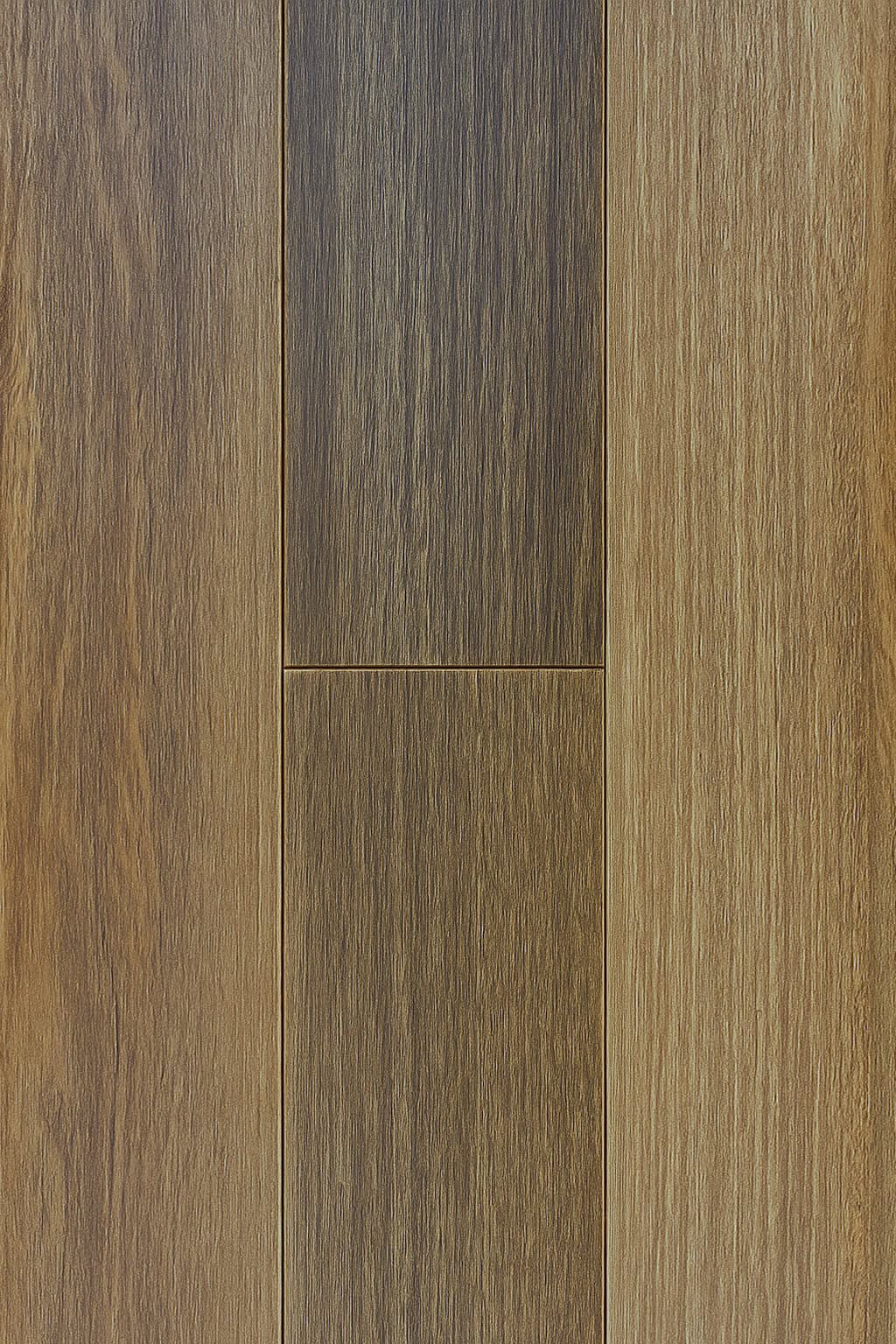 Queensland Spotted Gum