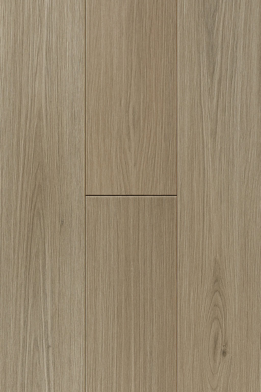 Verona Oak
