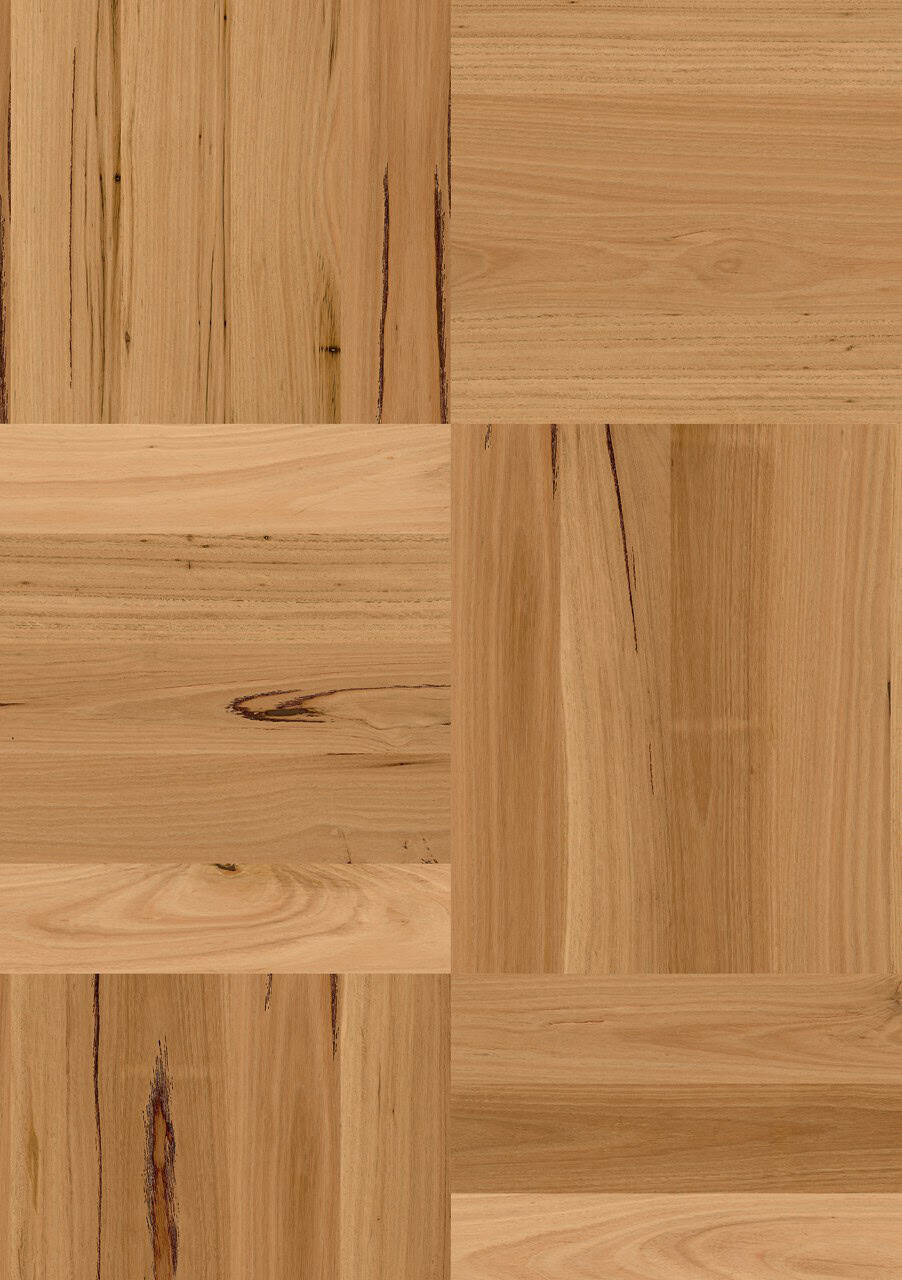 Blackbutt 1 Strip