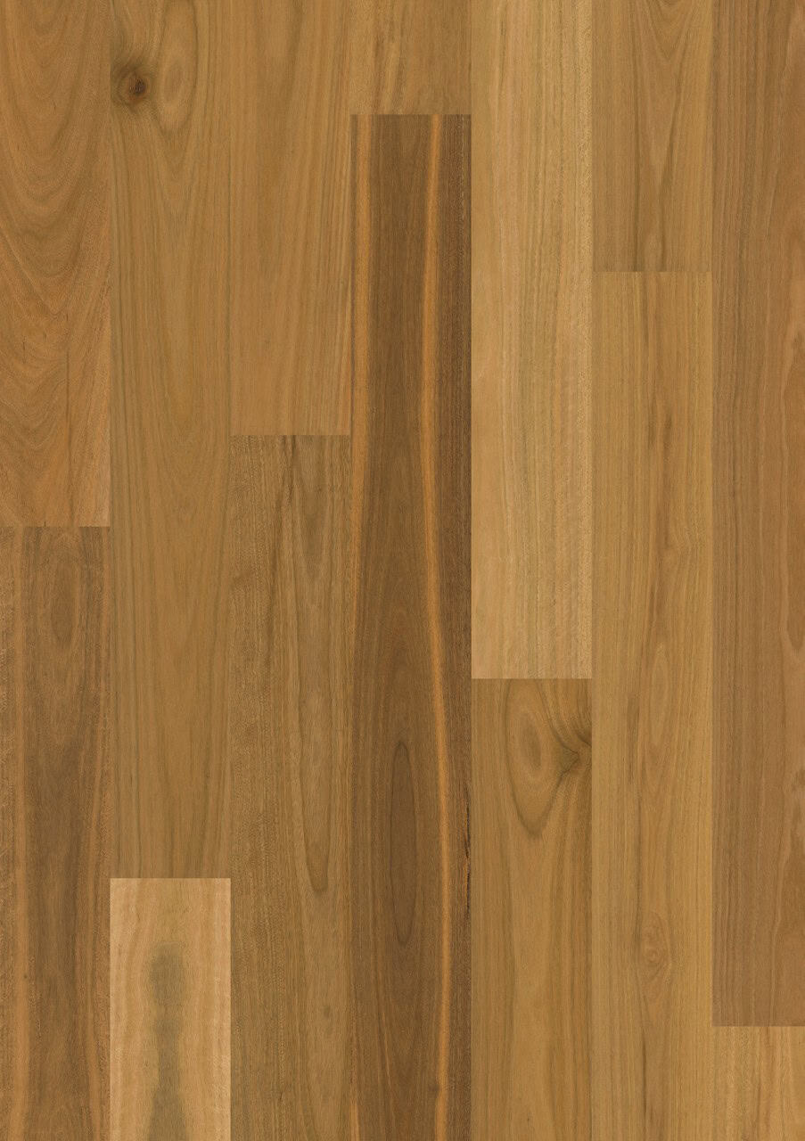 Brushed Spotted Gum 1 Strip Matt