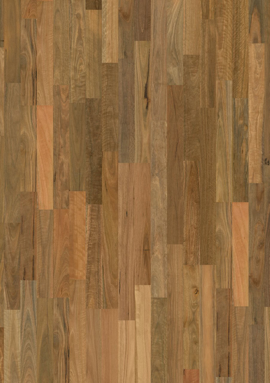 Brushed Spotted Gum 2 Strip Matt