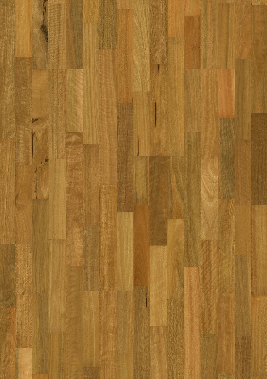 Spotted Gum 3 Strip Matt