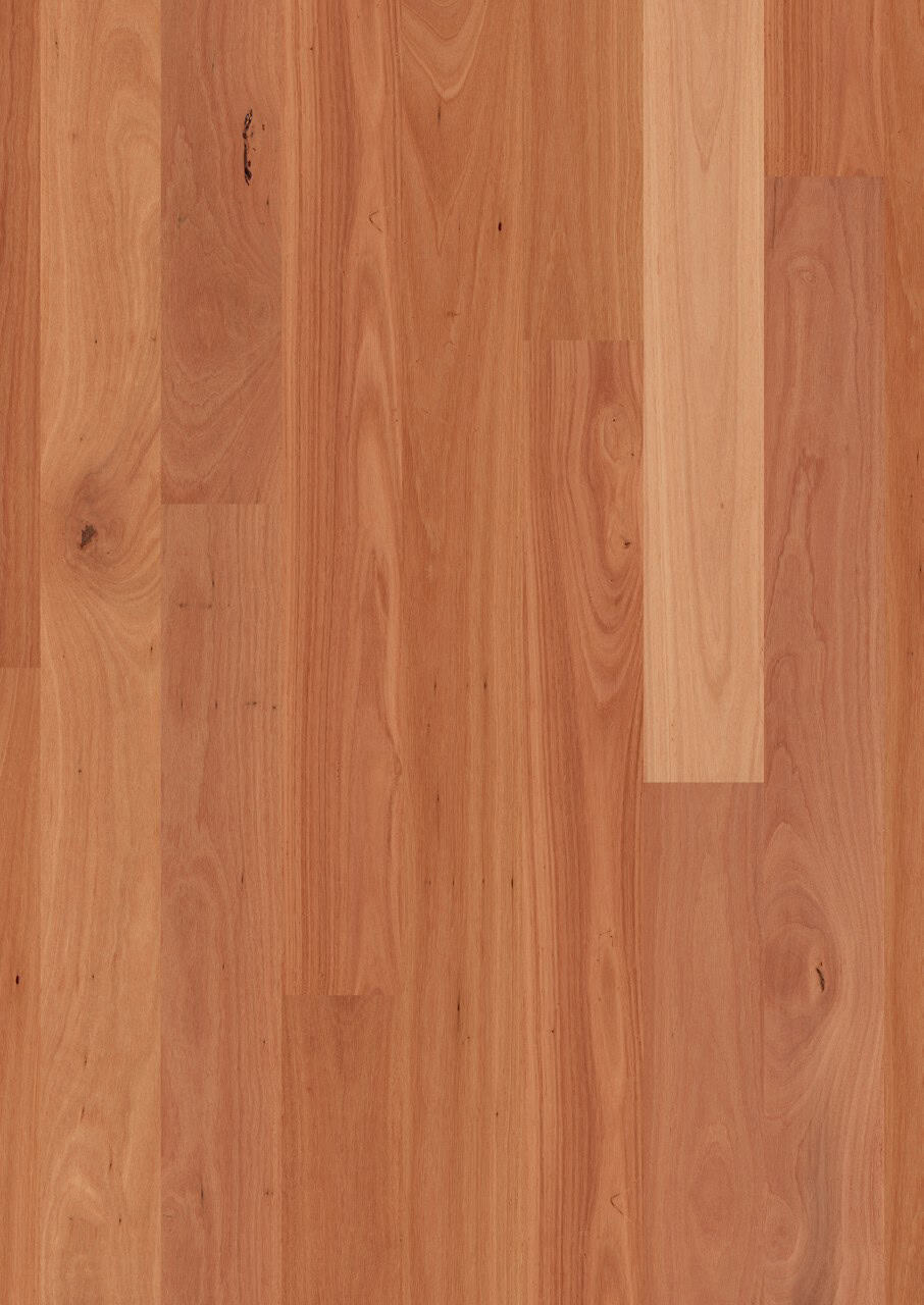 Sydney Blue Gum 1 Strip High Sheen