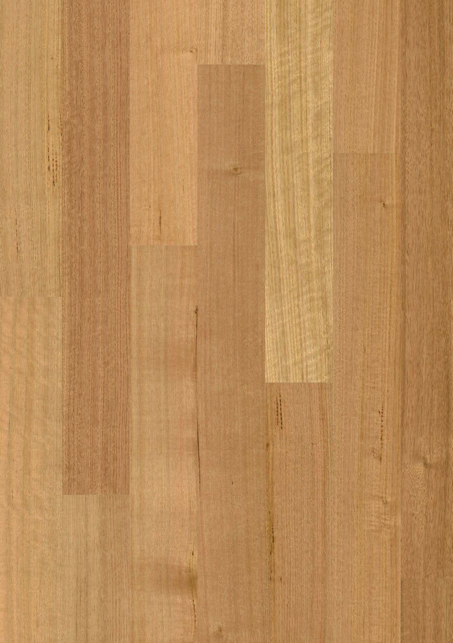 Tasmanian Oak 1 Strip Matt Brushed