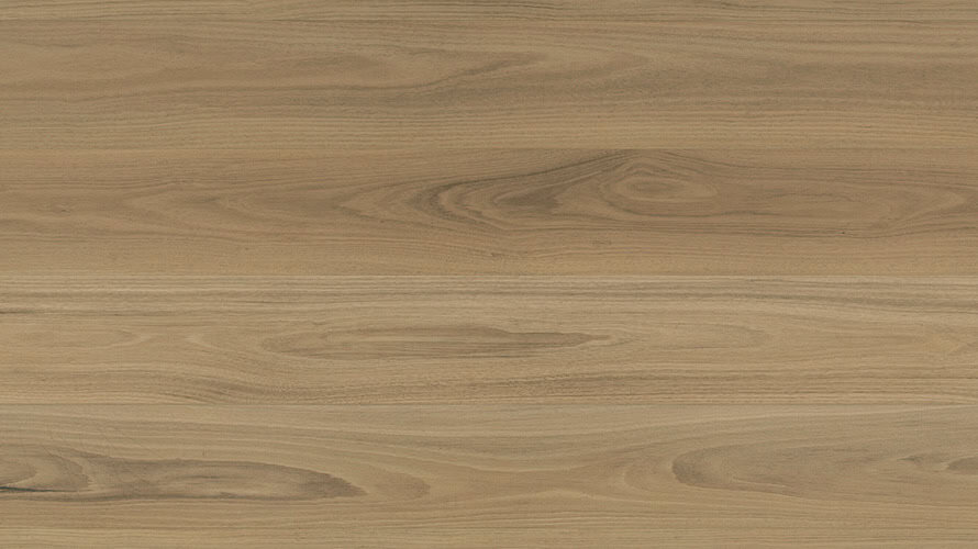 Atlantic Blackbutt