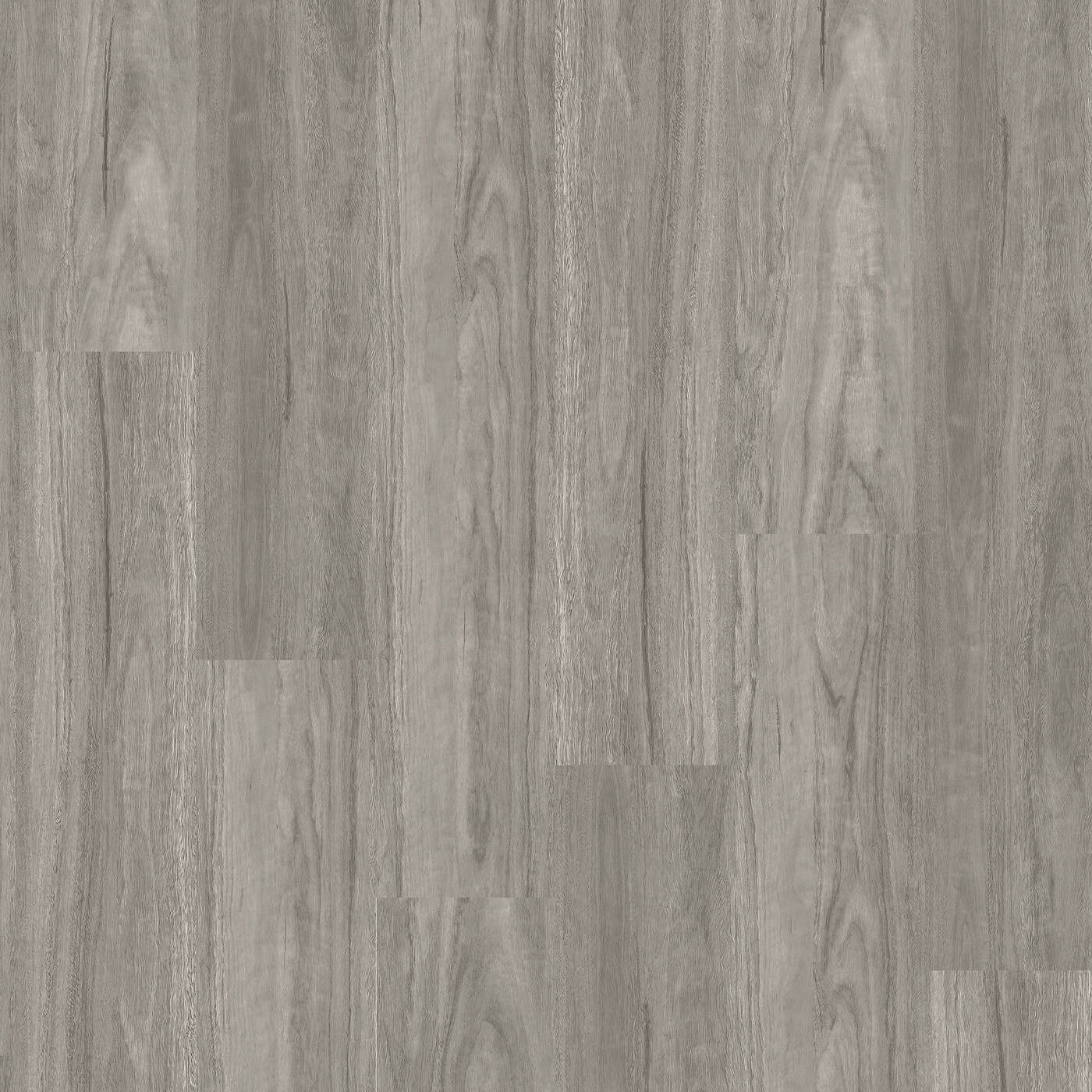 Grey Gum