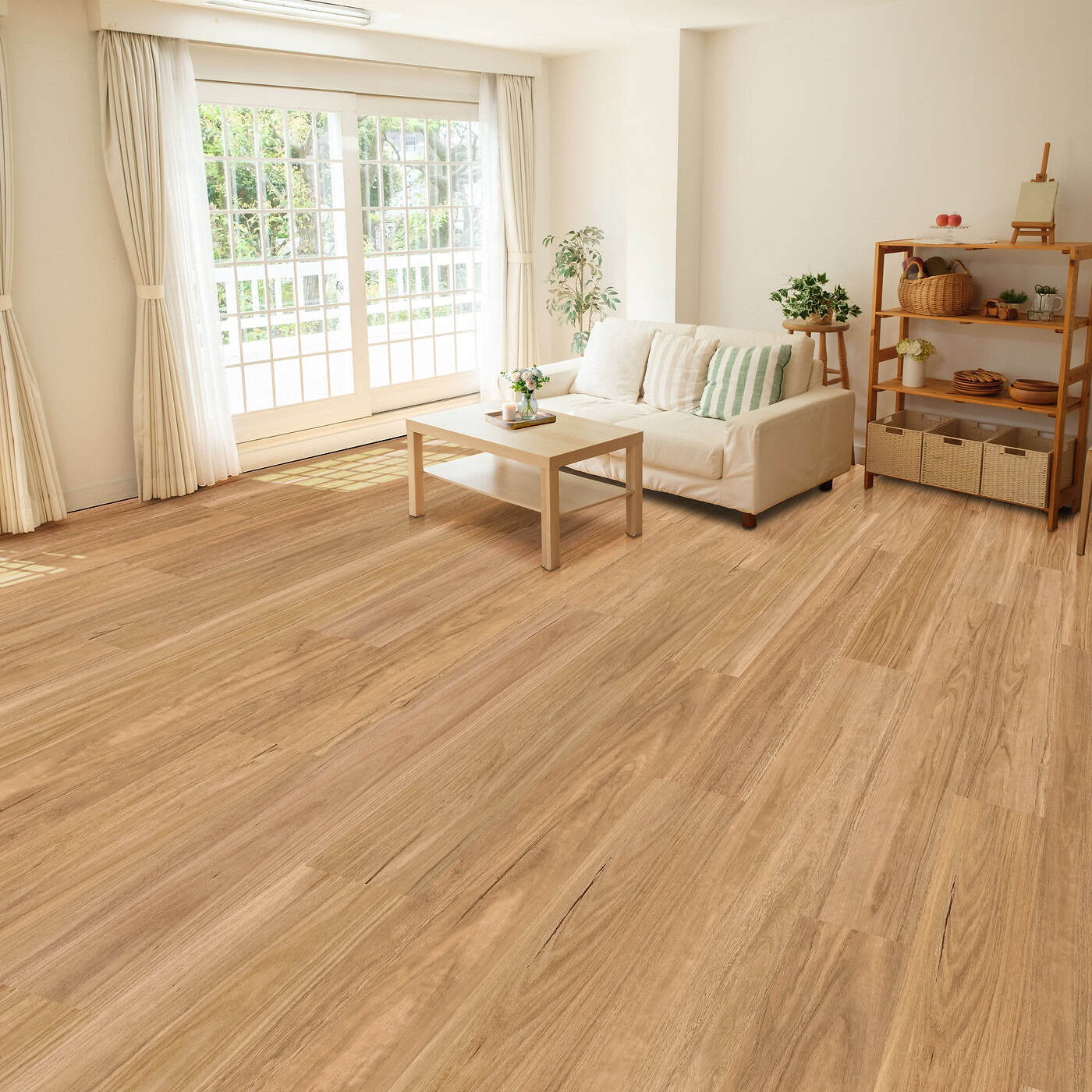 Northern Spotted Gum
