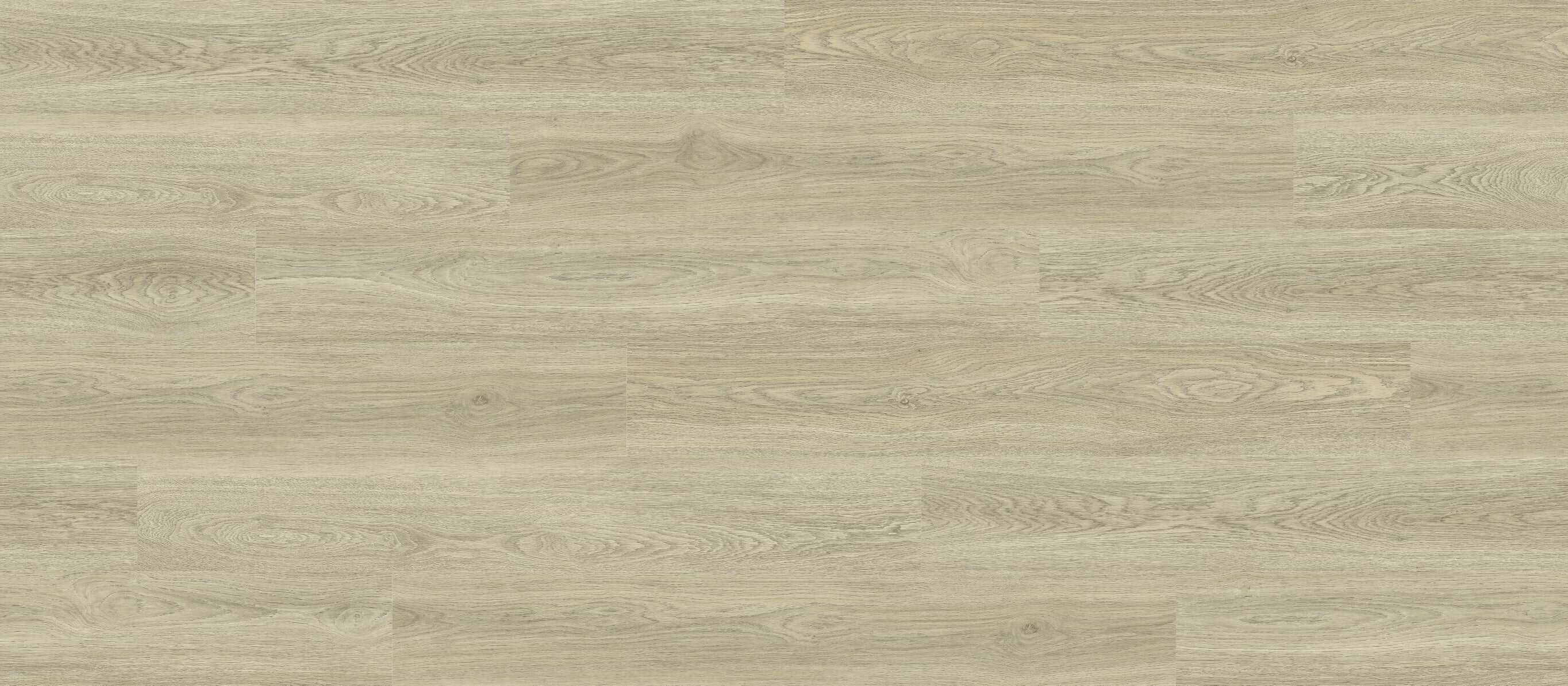 Brighton Oak B1