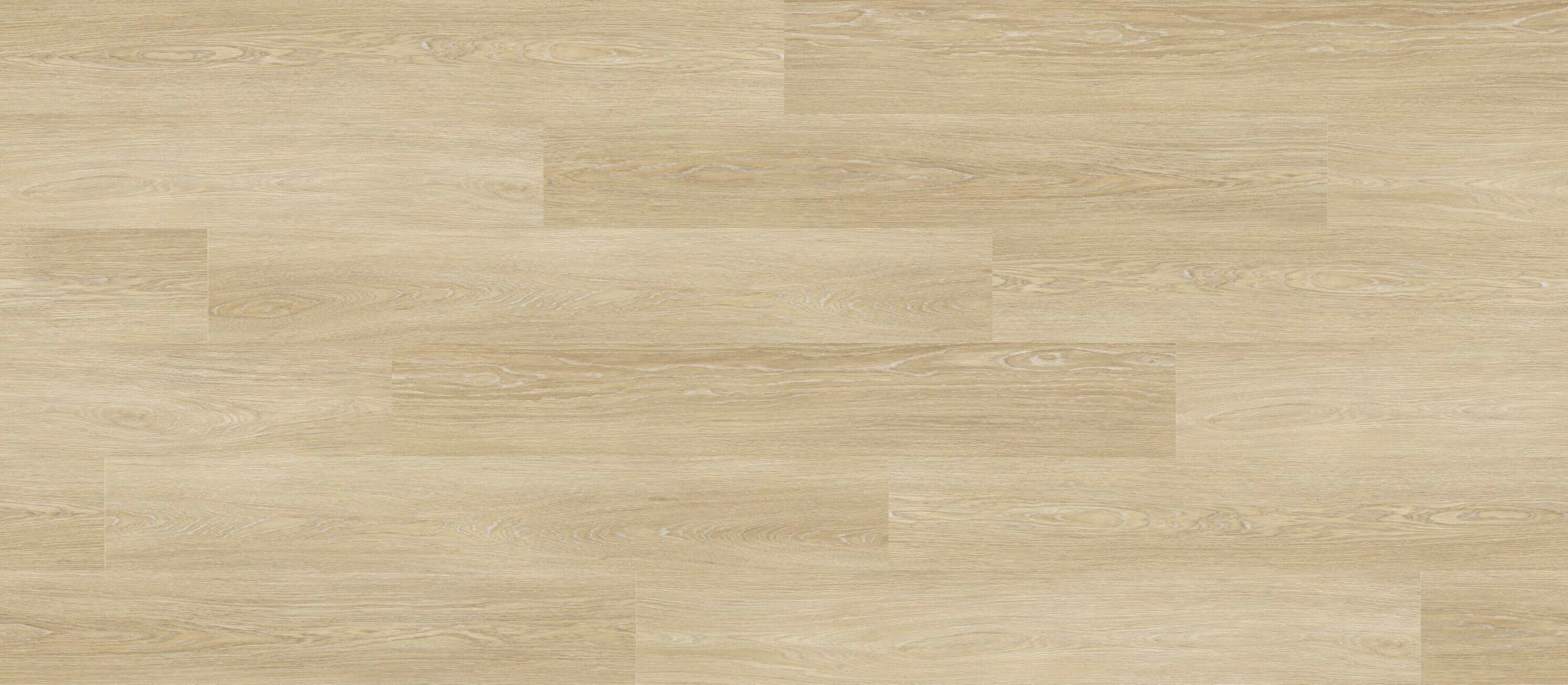 Dawn Oak D1