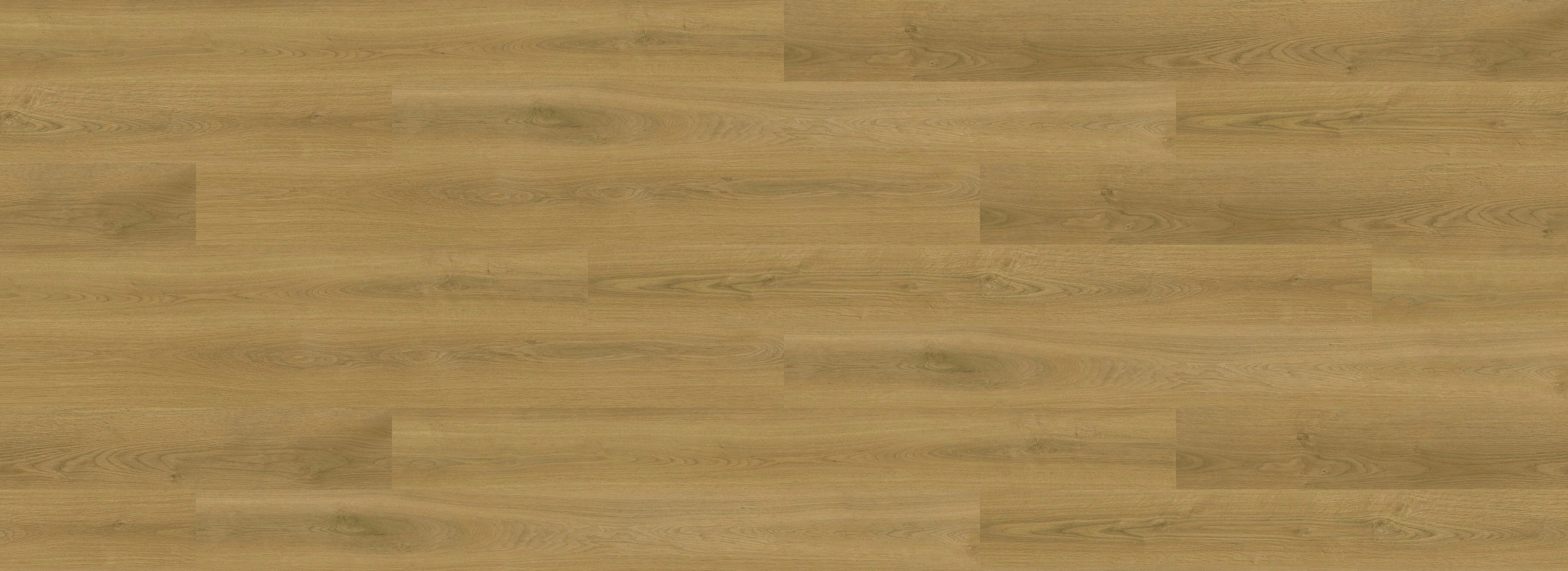 Odyssey Tassie Oak O1